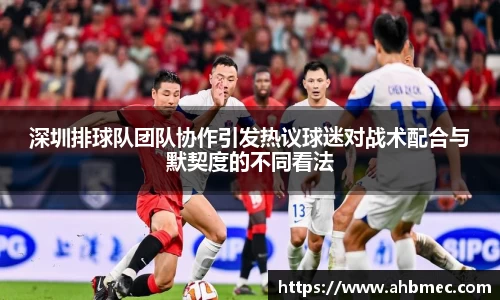 深圳排球队团队协作引发热议球迷对战术配合与默契度的不同看法